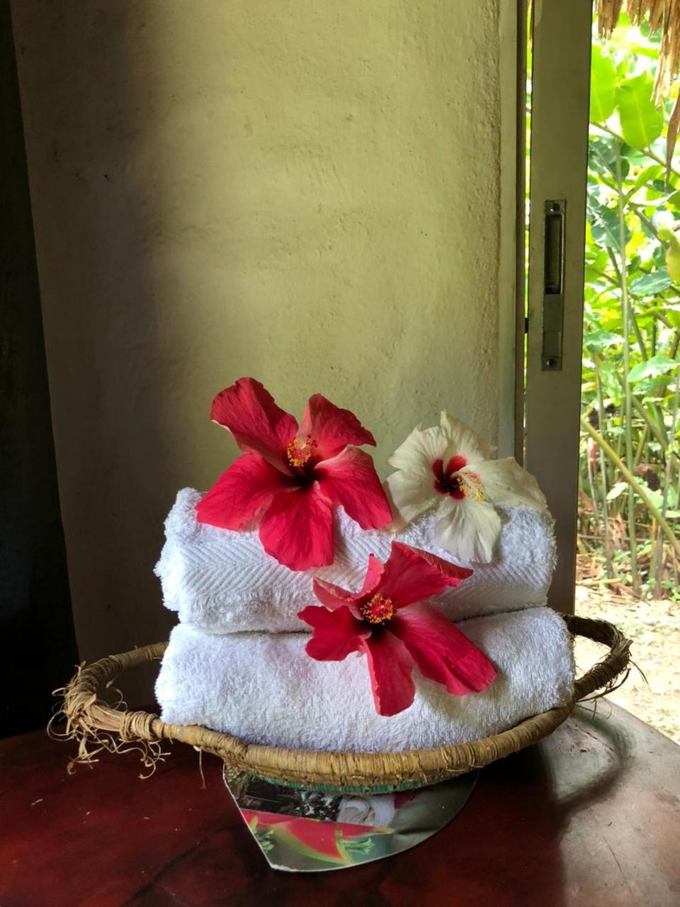 Taironaka Eco Hotel Don Diego Ngoại thất bức ảnh