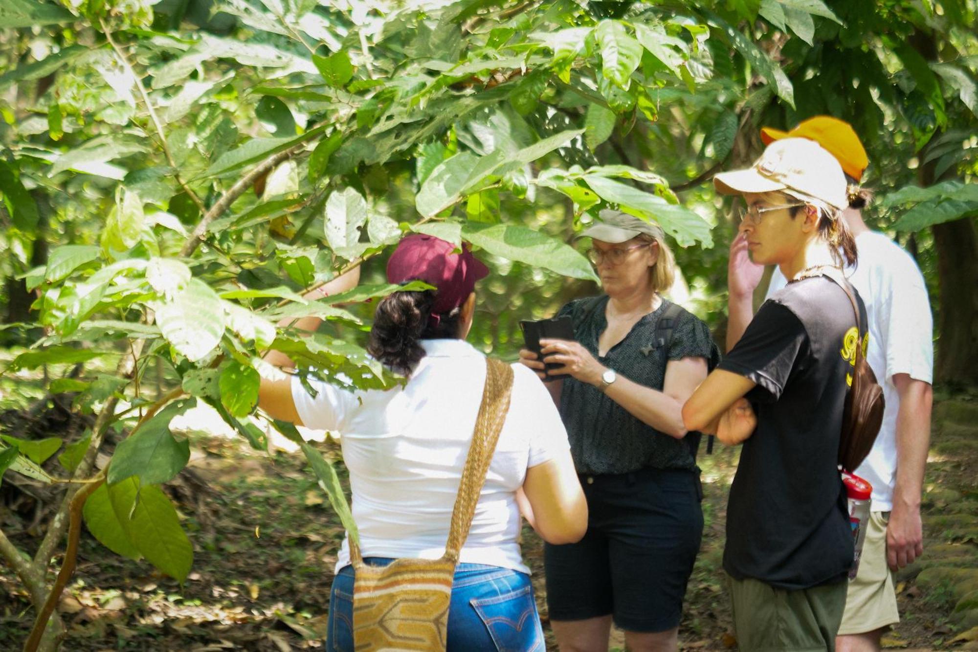 Taironaka Eco Hotel Don Diego Ngoại thất bức ảnh